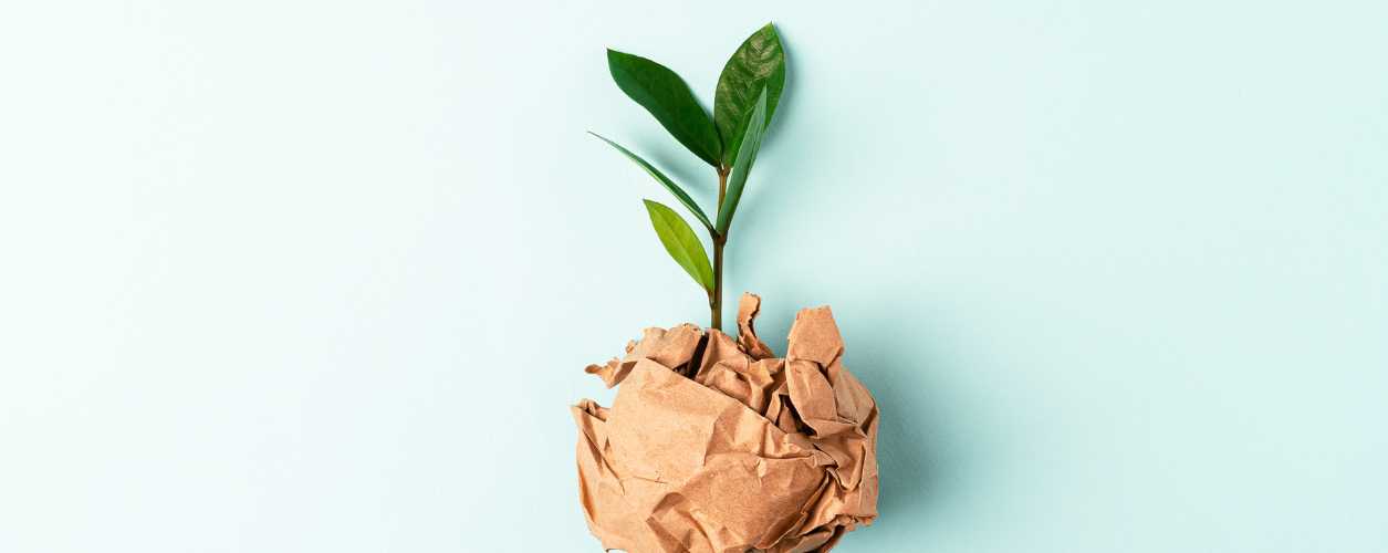 University of Niagara Falls Canada delivers on global commitment for SDG Month Canada