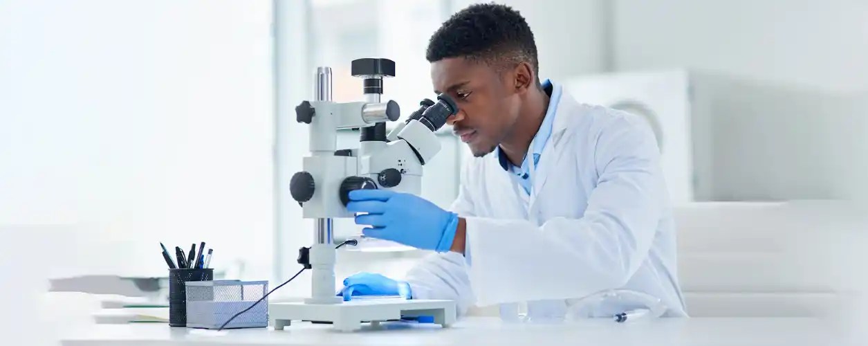 What can you do with a Biomedical Sciences degree?