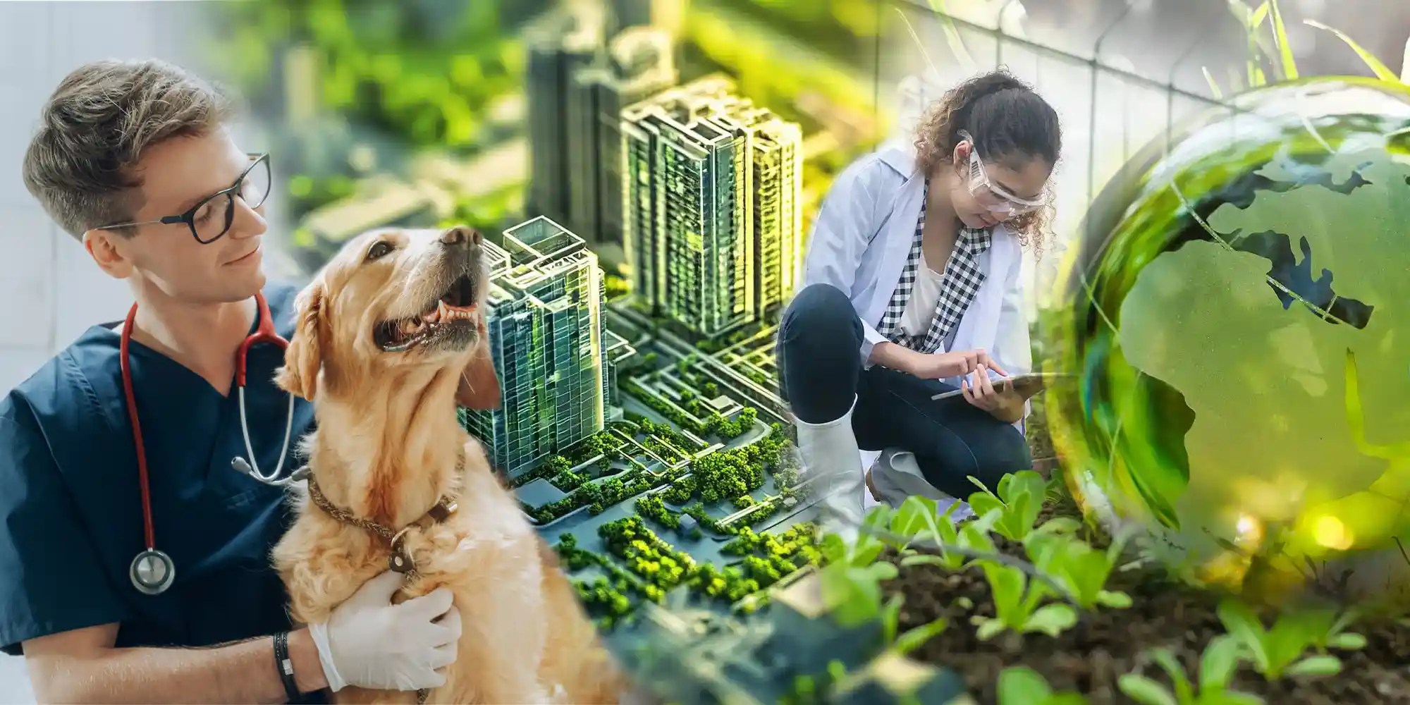 New programs image merge